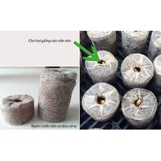 Combo 20 viên nén xơ dừa ươm cây + 50gr phân cá dạng hạt