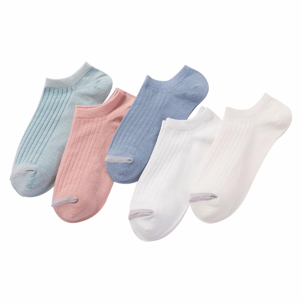 Vớ cotton 5 màu đơn giản