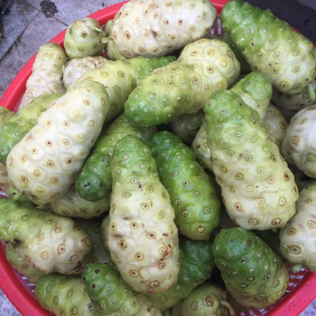 Combo 5kg nhàu tươi