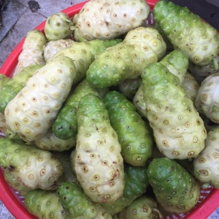 Combo 5kg nhàu tươi ( chat với shop trước khi đặt mua)