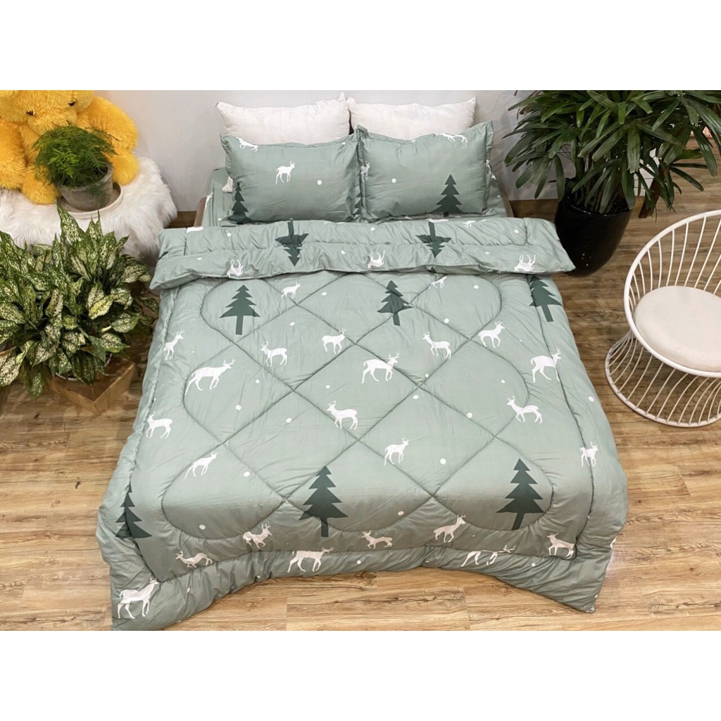 Bộ Chăn Ga Gối Cotton Poly Chăn Phao 5 Món Mới Nhất