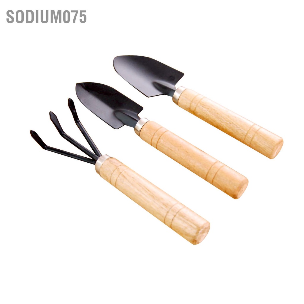 Có thể bán buôn Bộ Xẻng Làm Vườn Mini Kit Gia Đình Trồng Hoa Trong Chậu Mọc Nước Dụng Cụ Cỏ Sodium075 Hàng giao ngay
