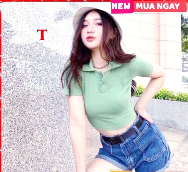 Áo polo crt trơn TTN876