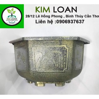 Combo 4 chậu lục giác bầu mini vân đồng 24x12cm