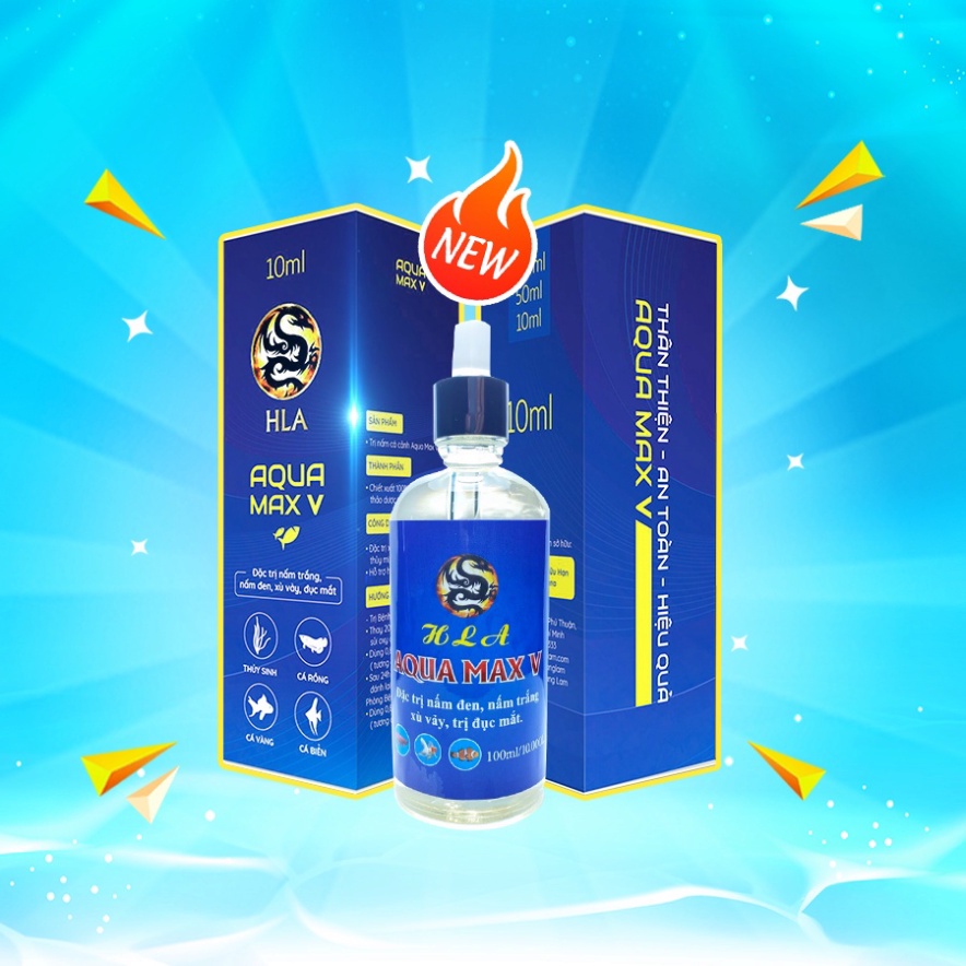 Xử Lý Cá Cảnh Xù Vảy, Sốt Huyết, Đục Mắt, Nấm Trắng, Nấm Đen | Aqua Max V Hoàng Lam