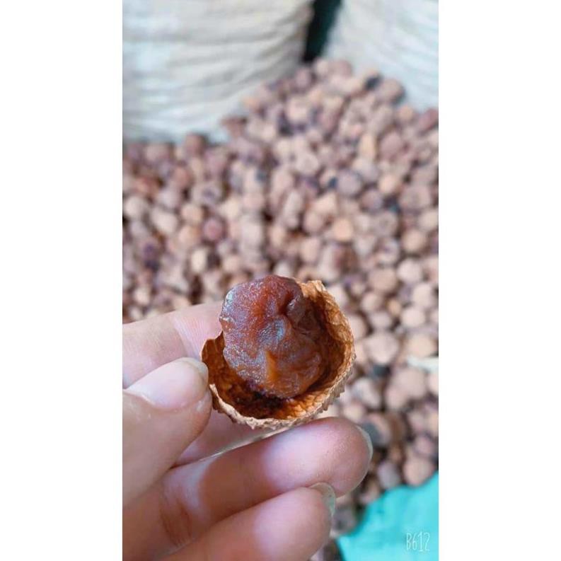 [ship hỏa tốc] 1Kg VẢI SẤY KHÔ LỤC NGẠN CHÍNH GỐC[FREE SHIP] TỪ ĐƠN 50K, [Loại Đặc Biệt] Hàng ngon nhà làm | BigBuy360 - bigbuy360.vn