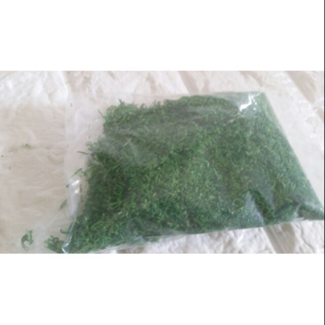 Cỏ sợi trang trí