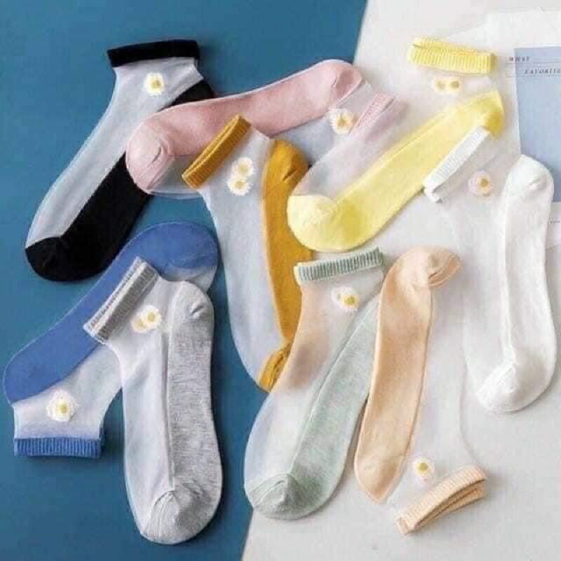 set 10 đôi tất hoa cúc lưới siêu đẹp