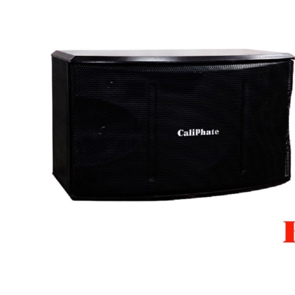 Loa treo tường caliphate bass 20 B80, Bass 25 B100, chuyên nghe nhạc hát karaoke
