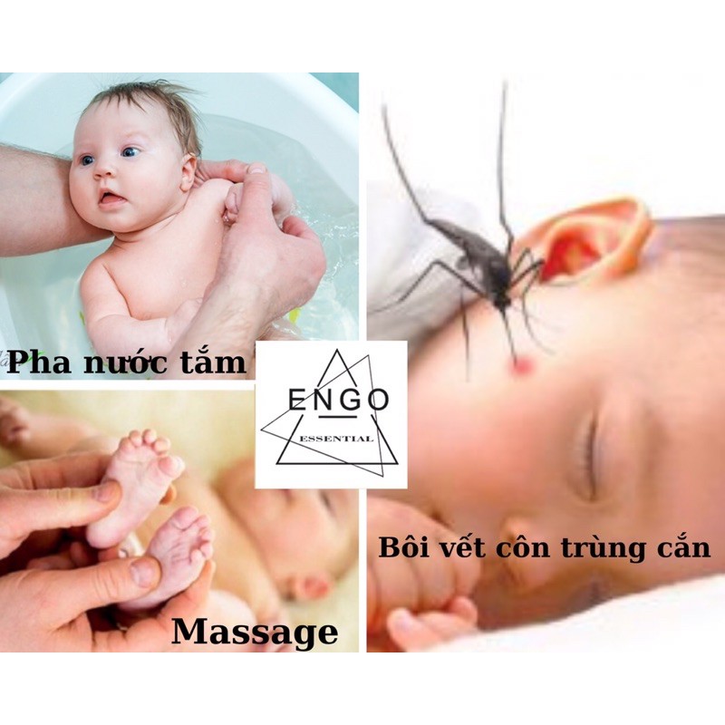 Tinh dầu tràm nguyên chất