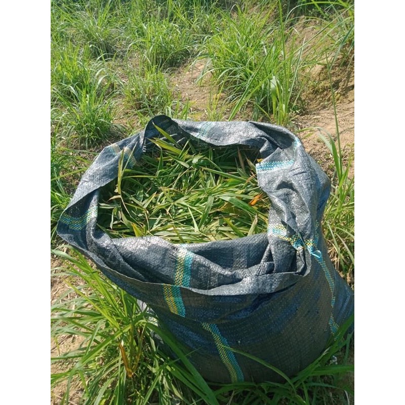 Lá tre dưỡng chân tóc 100g | BigBuy360 - bigbuy360.vn