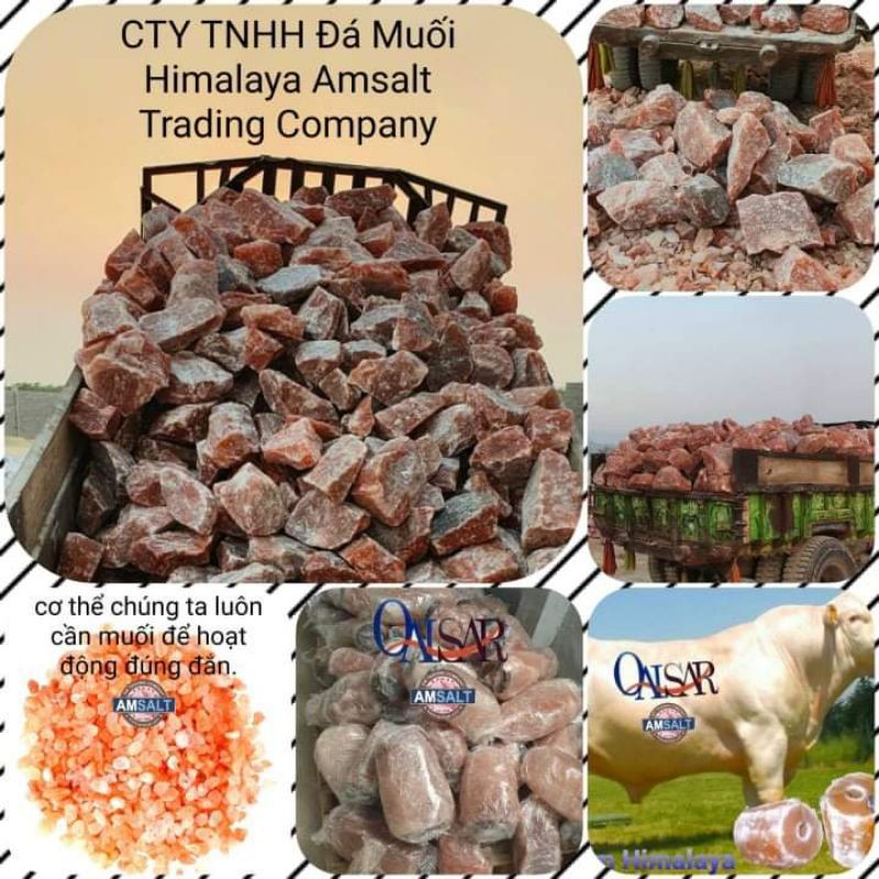 Đá muối khoáng Himalaya nhập khẩu từ Pakistan cho gia xúc