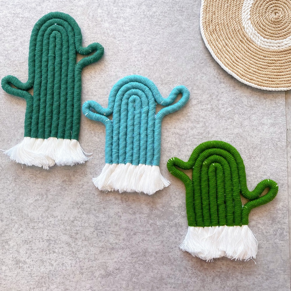 Xương rồng 22cm macrame treo tường, trang trí phòng