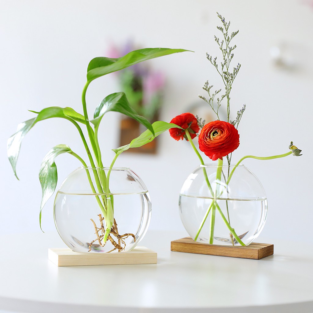 Chậu Hoa Thủy Tinh Kèm Giá Đỡ Bằng Gỗ Dành Cho Trồng Cây Thủy Canh