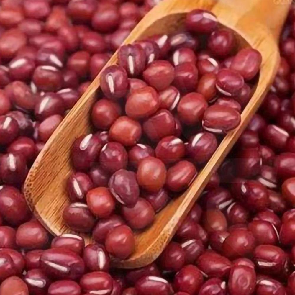 Muỗng Múc Gia Vị Bằng Gỗ Tiện Dụng Cho Nhà Bếp