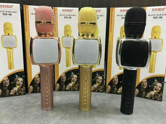 Míc hát karaoke SD 16