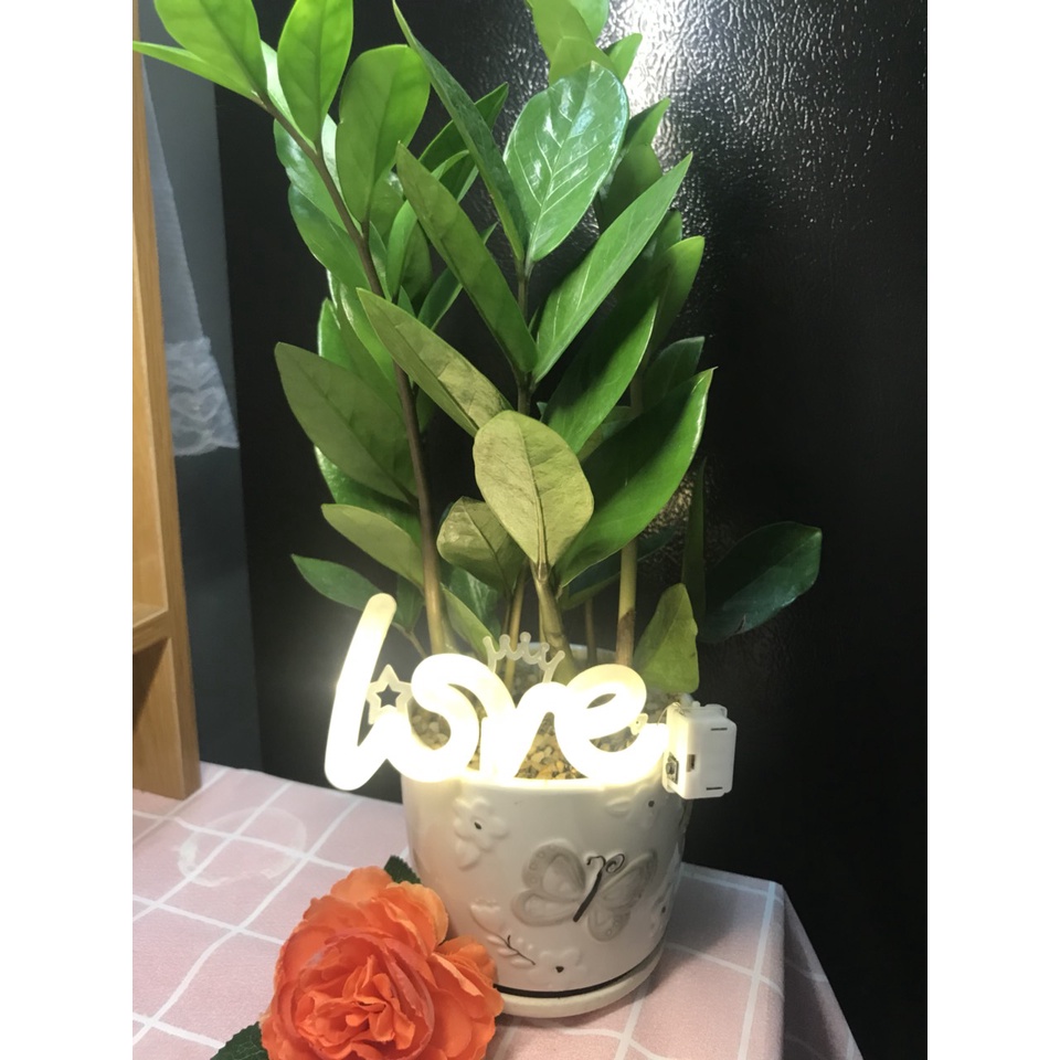 Đèn đom đóm, đèn led fairy chữ Love mini trang trí, decor phòng, làm quà tặng, chụp ảnh