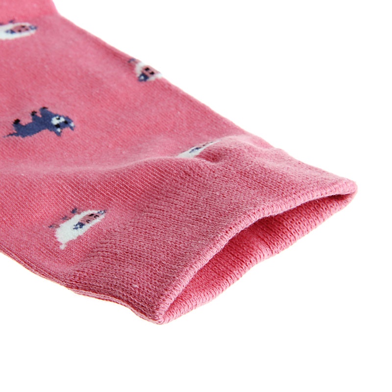 Vớ Cotton Họa Tiết Hoạt Hình Nhiều Màu Sắc Thời Trang Cho Nam Và Nữ