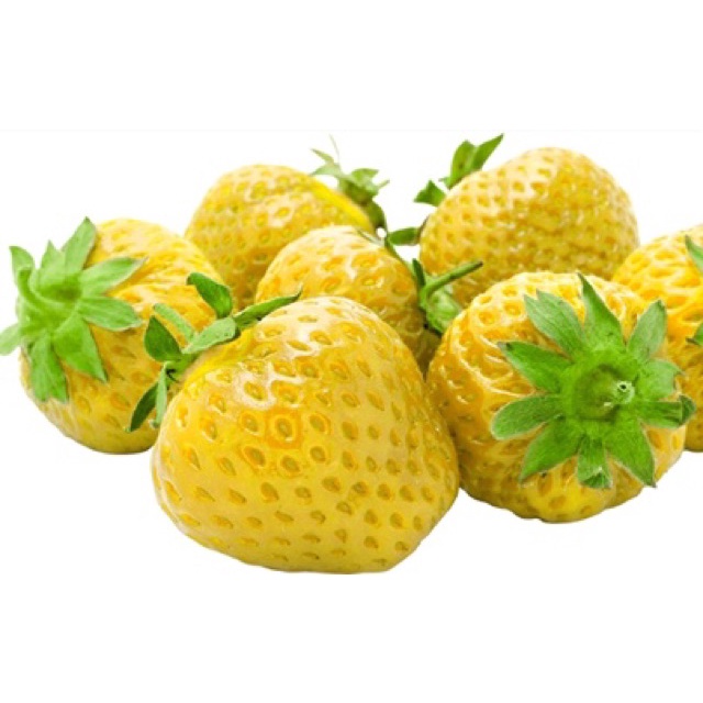 50 hạt giống dâu tây vàng chịu nhiệt