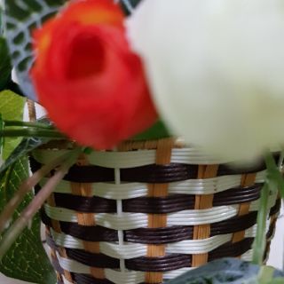 Giỏ hoa trà treo tường