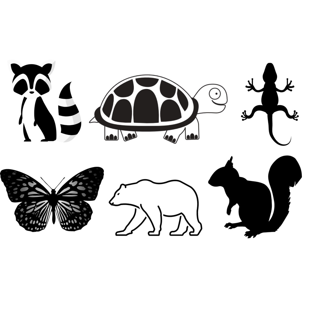 Bộ hình tăng thị giác Flash Card cho bé sơ sinh luyện mắt và giác quan trẻ màu đen trắng