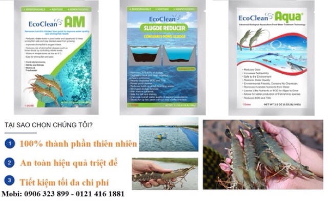 Vi sinh bể cá EcoClean Aqua (USA) - Xử lý tảo, cải thiện nước bể, ao nuôi cá cảnh (100gr/gói)