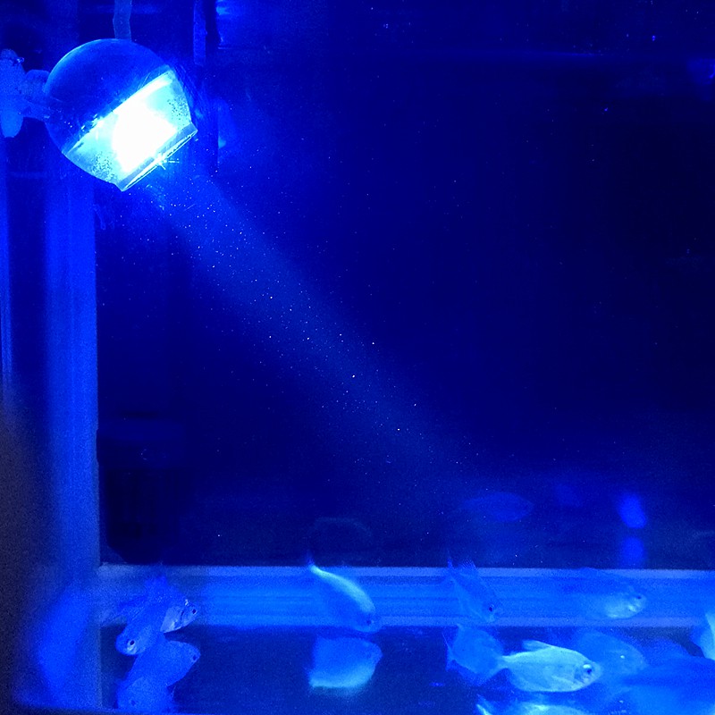 Bể cá nhỏ ánh sáng lặn nhỏ đầy màu sắc thay đổi màu sắc ánh sáng dưới nước Đèn LED chống thấm nước tròn đèn ch