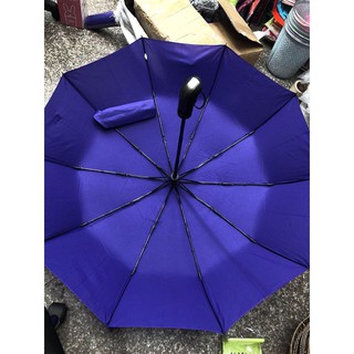 Ô tự động gấp gọn 2 chiều đóng mở loại 1 10 nan xương
