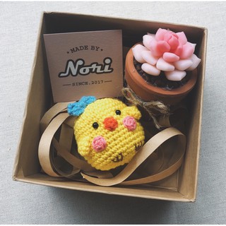 Sen đá Handmade [ĐẤT SÉT NHẬT CAO CẤP] Đẹp - Bền - Giá tốt