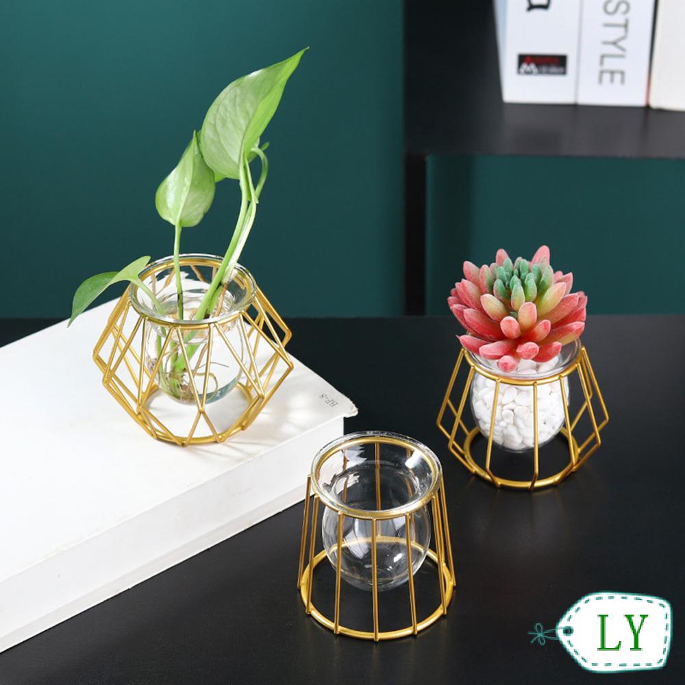 Chậu cây thủy tinh khung sắt họa tiết hình học trồng cây thủy sinh trang trí bàn trang trí bàn tại nhà LY