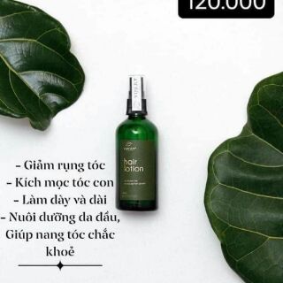 [Tinh Dầu Bưởi] TINH DẦU BƯỞI _GIẢM RỤNG TÓC GIÚP MỌC TÓC