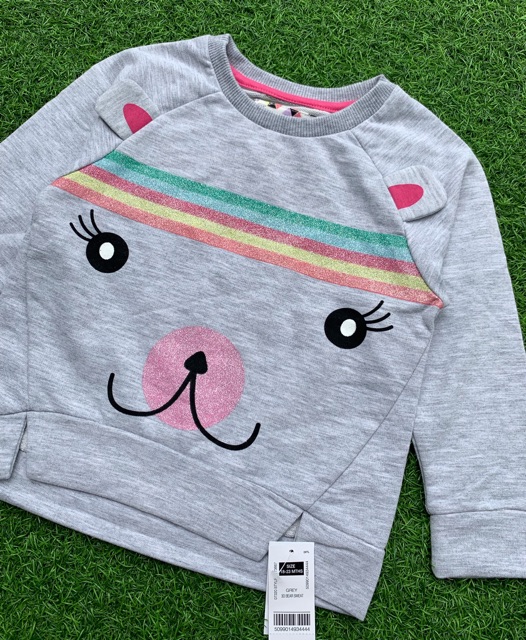 Áo nỉ mặt mèo rainbow