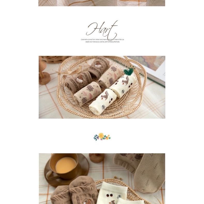 Set 3 đôi tất cổ cao Bivota vớ nữ nâu tây họa tiết nhí cực dễ thương T106