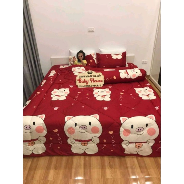 Bộ 5 món chăn phao trần bông dày dặn giá sỉ cực kì uy tín,cam kết