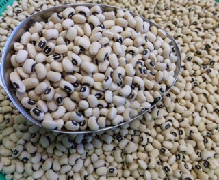 Đậu trắng bi PMT 250g