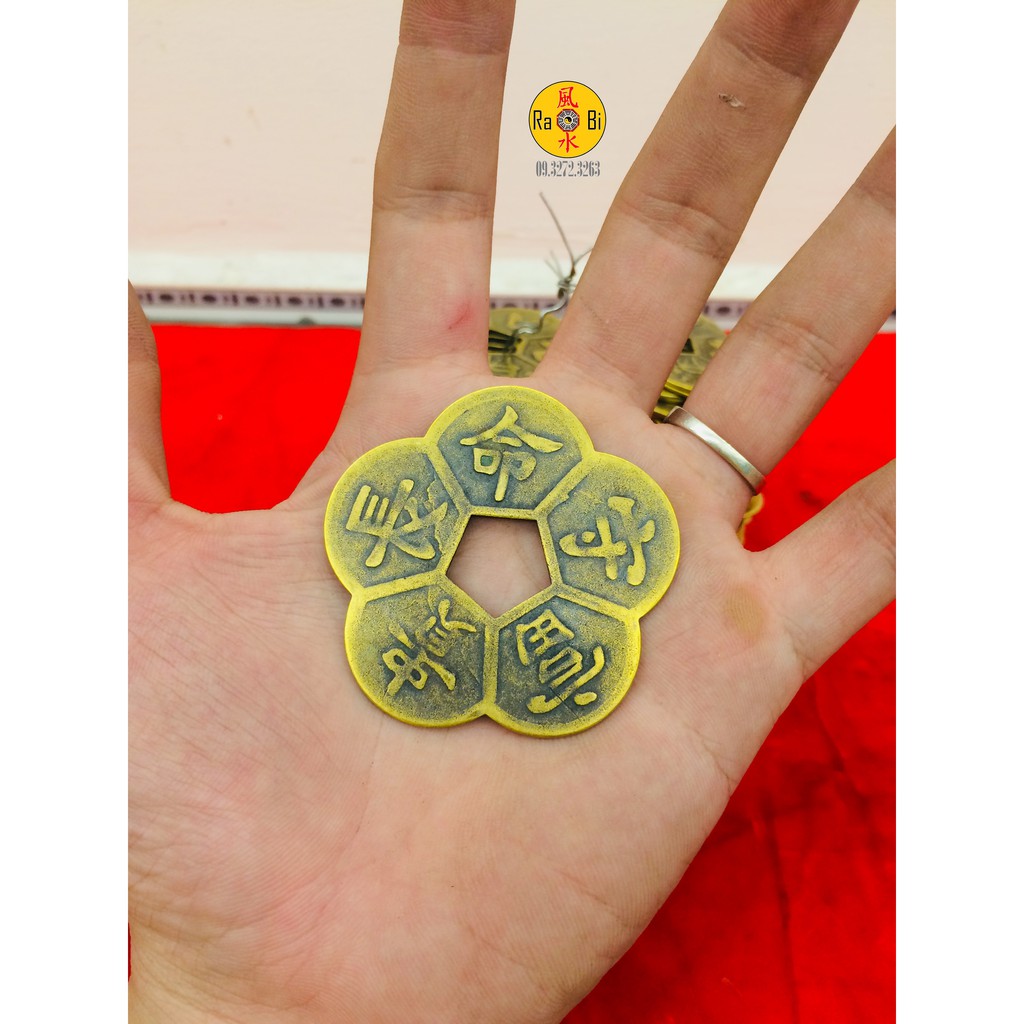 Đồng Tiền Xu Hoa Mai Chiêu Tài Tấn Bảo - Vật Phẩm Đồng Phong Thủy May Mắn | BigBuy360 - bigbuy360.vn