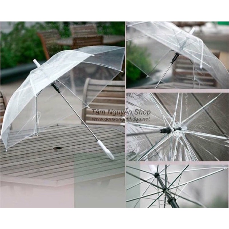 Ô Trong Suốt Sợi Nhựa Nhật Bản