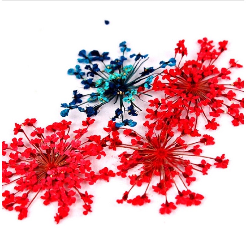 hoa khô cánh nhỏ cánh to skinnail ,2 loại hoa thông dụng dễ thiết kế mẫu nhất trên thị trường hiện nay ,dễ sử dụng nhất.
