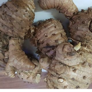 Củ nghệ đen tươi 1kg