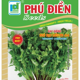 Hạt giống mùi (ngò) Bạc Liêu (chịu nhiệt)