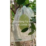 Combo 10 Cái Túi Lưới Cước Thái Bao Bọc Trái Mít