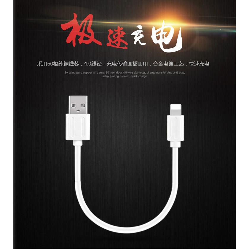 Dây Cáp Sạc Ngắn Cổng Micro Usb Type-c Cho Iphone 11 X 25cm