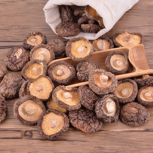 Nấm Organic Thái Nguyên