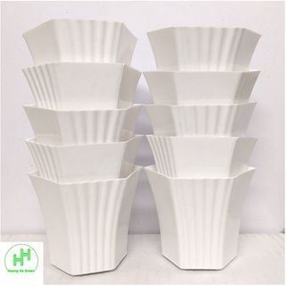10 Chậu nhựa Lục giác Sen đá 100x80x60, trồng cây mini, xương rồng, cây để bàn, sen đá