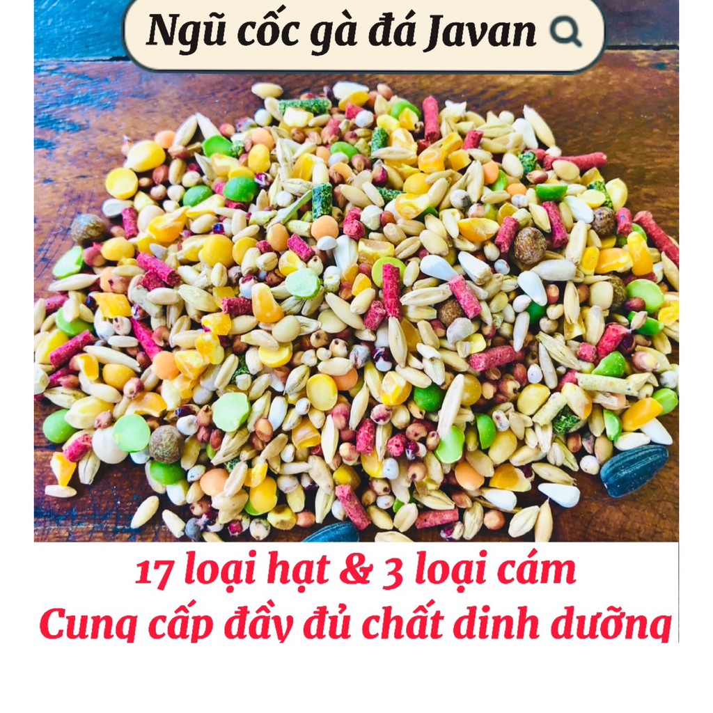 Ngũ cốc gà đá Javan One 1kg, thức ăn yêu thích cho chiến kê, thức ăn cơ bản cho Hamster