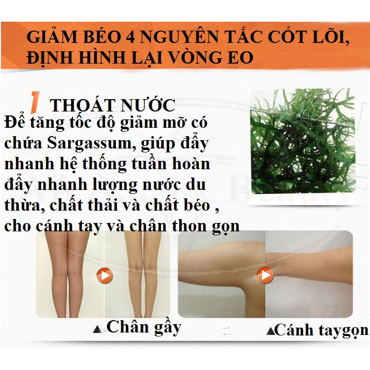 Tinh Dầu ớt tan mỡ bụng Sau 7 Ngày 30ml Aichun Beauty