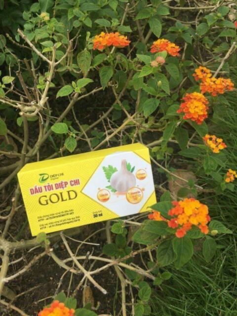Dầu Tỏi Diệp Chi Gold