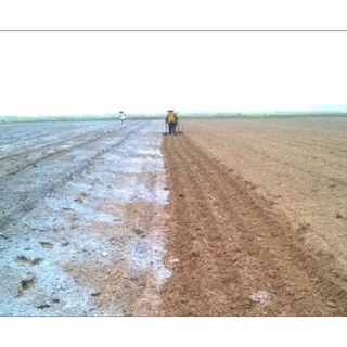 Vôi bột nông nghiệp dùng cải tạo đất, khử chua sử lý giá thể 1kg