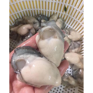Hàu Ruột 1Kg