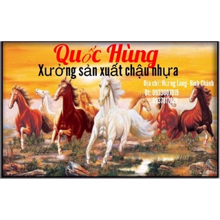 Combo 10 chậu bích lổ trồng sen